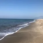 Acacia, Lavanta, Kalkan *