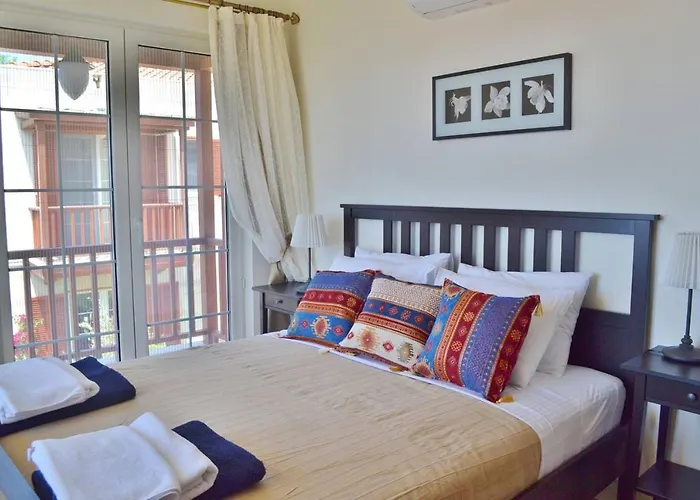 Acacia, Lavanta, Kalkan *